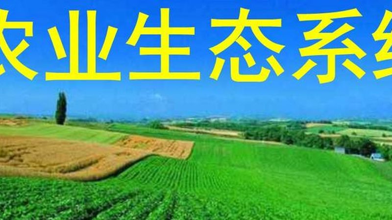 目前市场上常见的水肥一体化设备材质主要有以下几种：