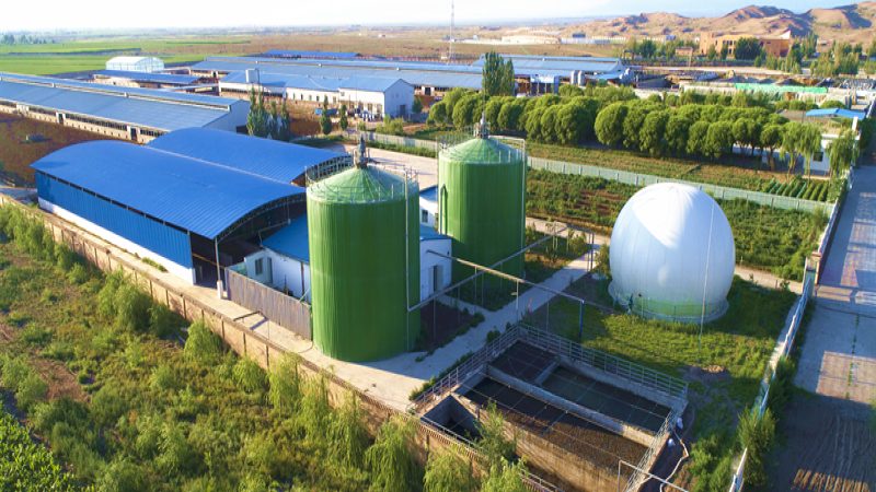 果蔬配送O2O平台参数对比