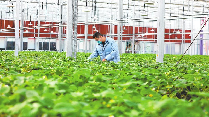 绿色食品认证费用明细表：揭秘绿色食品认证成本构成