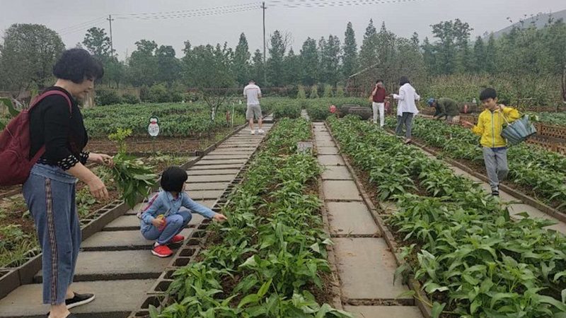 休闲观光农业产业园：盈利模式的多维解析