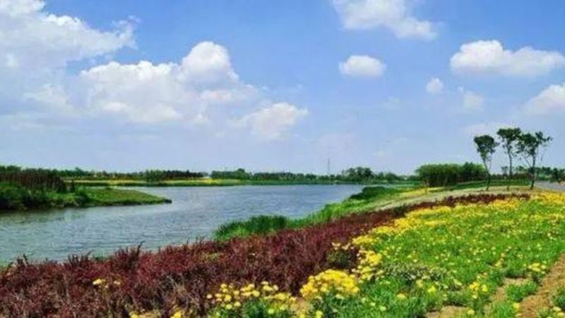 水果种植合作社投资回报周期解析