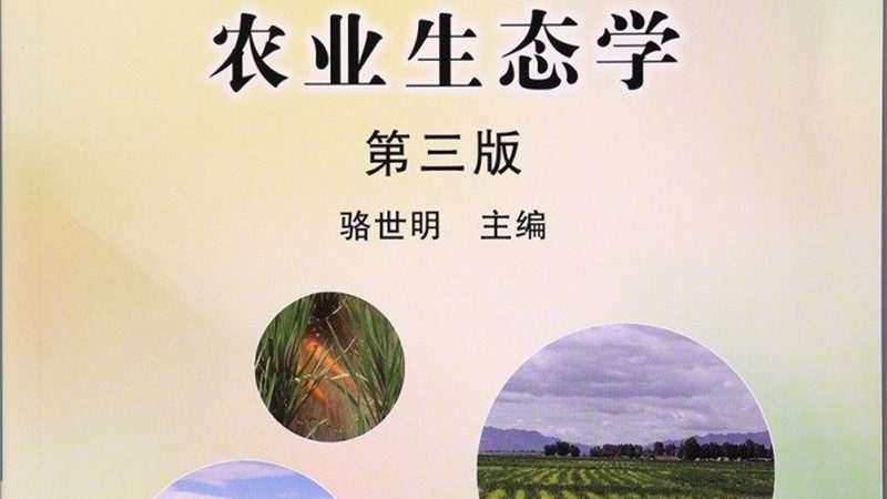 大棚种植成本解析：一亩多少钱的真相**