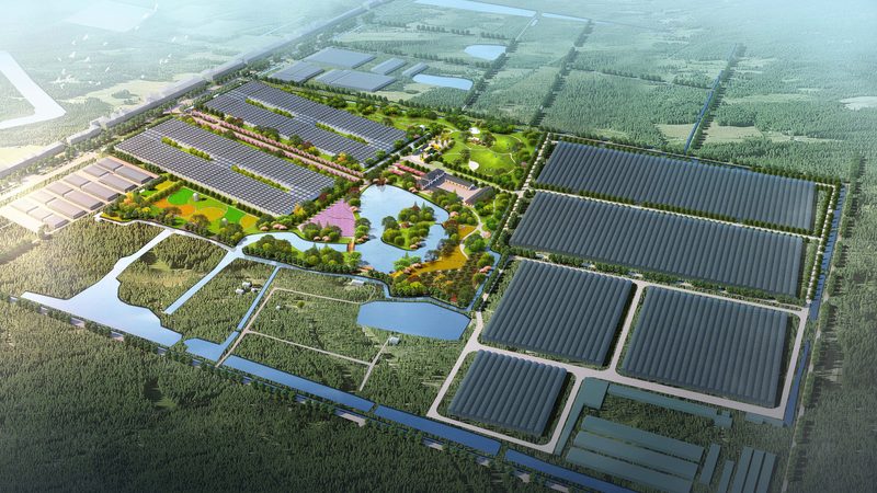 种植技术书籍：批发渠道与选书指南