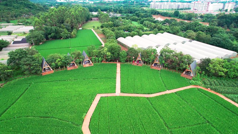 精准计算，科学种植：种植地块面积计算方法解析**