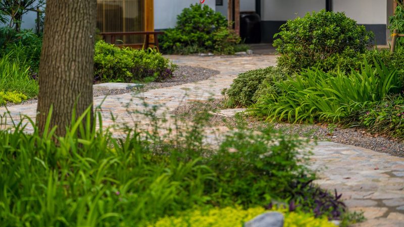 农业种植技术：如何选择合适的技术公司**