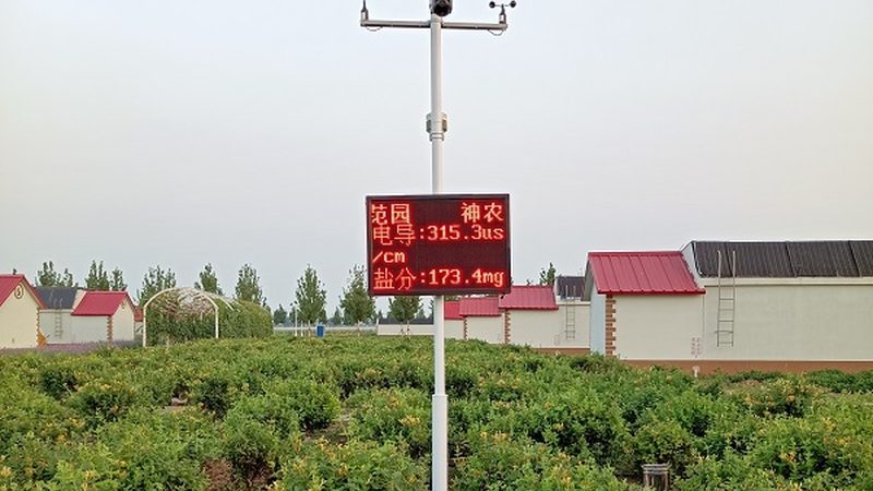 农产品配送如何提升利润？案例分析揭示关键