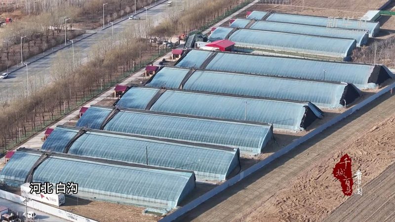 休闲农业园区运营模式探析：优势与挑战并存