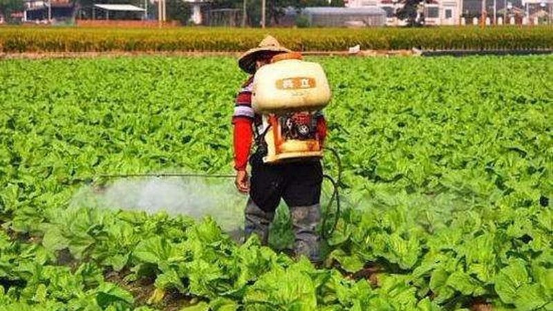 北京合作社代理记账多少钱
