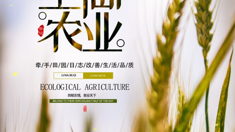 全国蔬菜批发价格波动背后的秘密**